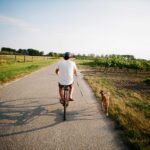 mhw magazin fahrradfahren mit hund 150x150 - Tow rope for bikes: a relief for children and adults