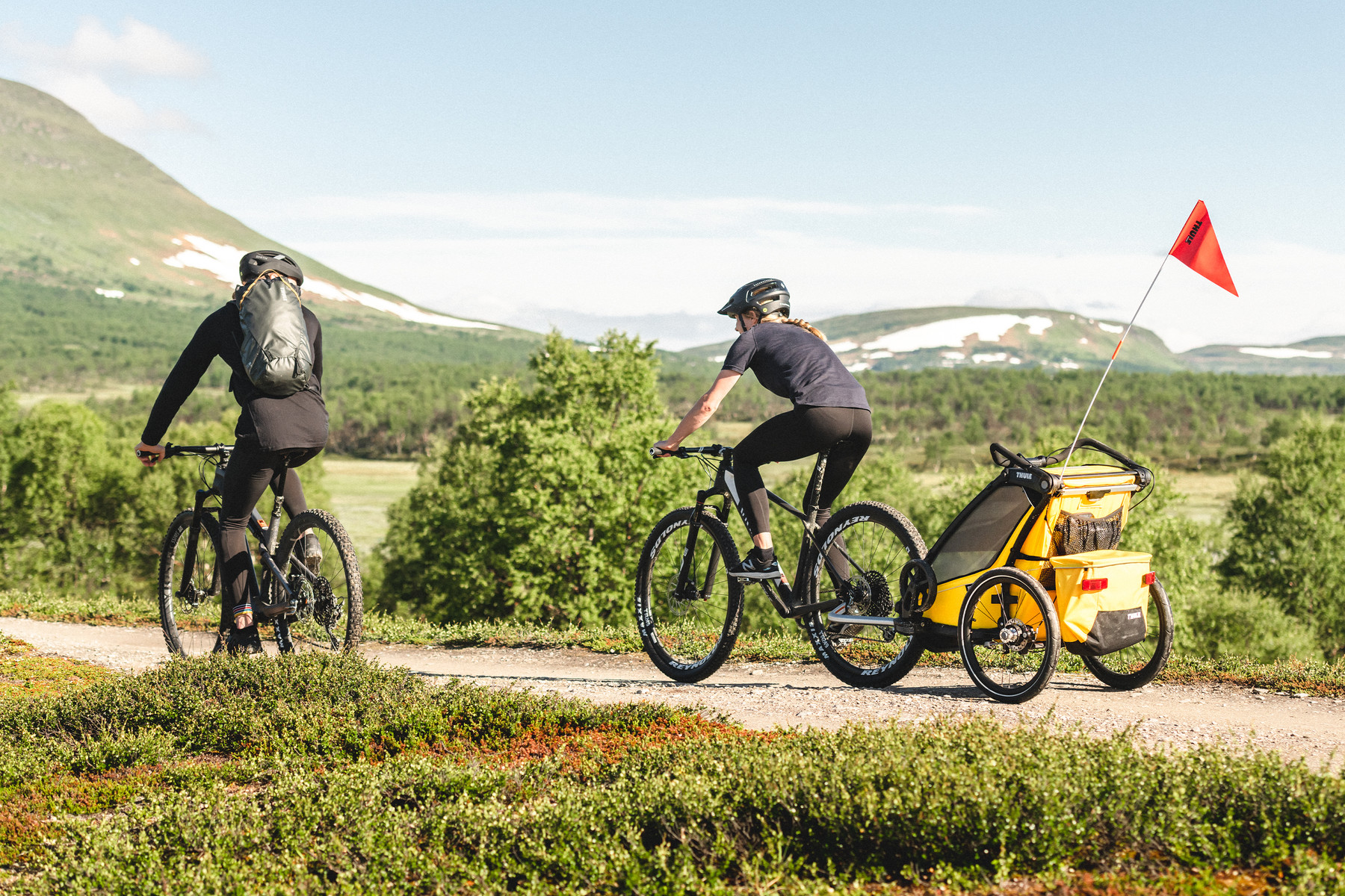Which bicycle trailer suits me MHW Bike Magazine
