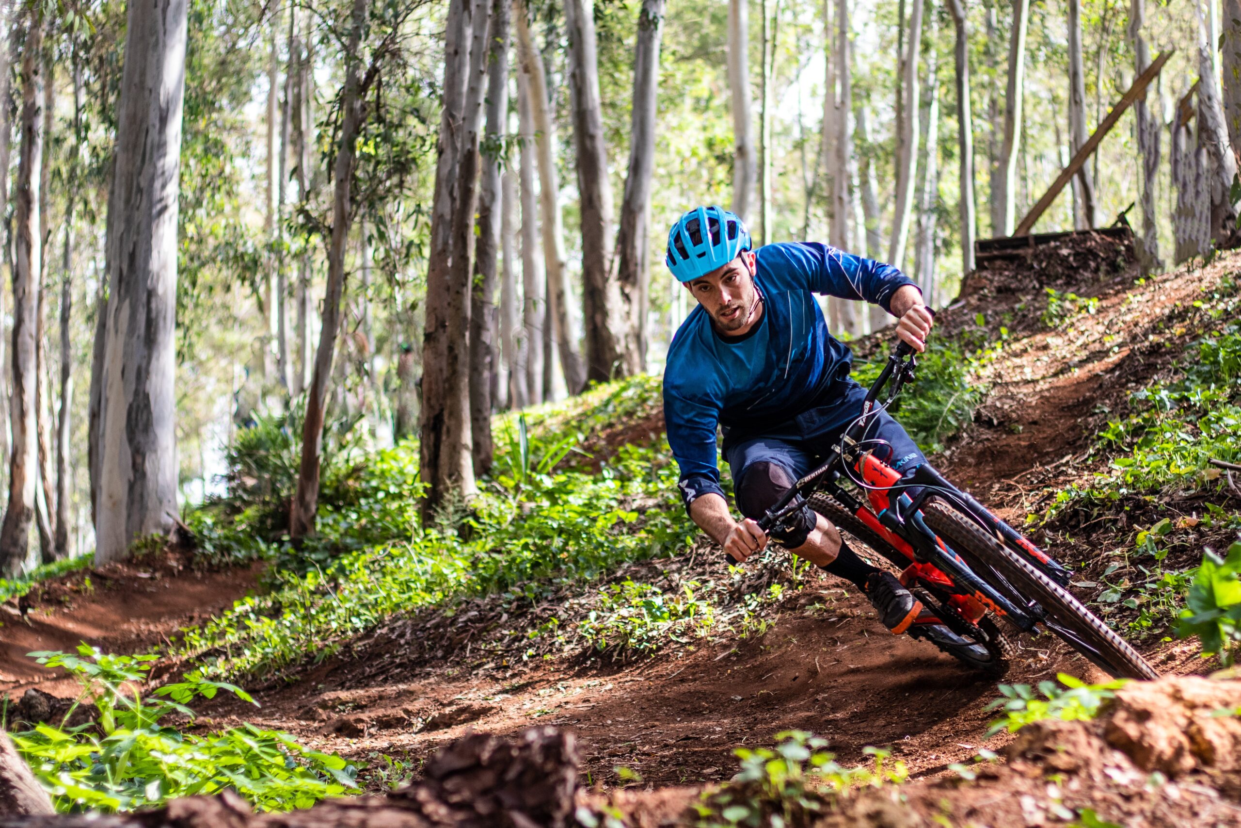 Man on a MTB in the forest Man on a MTB in the forest