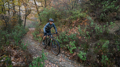 You can see a cyclist on his mountain bike. He is riding on a path through a forest. 