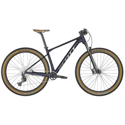 Scott contessa scale comp 19 new arrivals