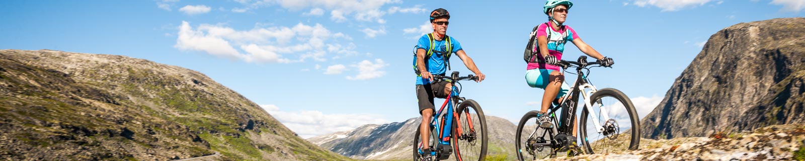 demo e bikes for sale