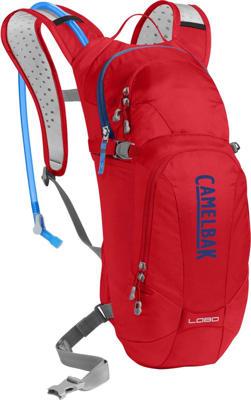 Camelback Backpack Lobo racing red / pitch blue